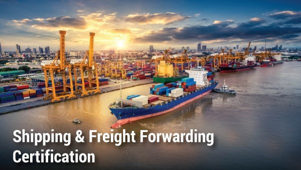 cilt shipping freight forwarding